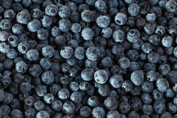 fresh blueberries, group of blueberries