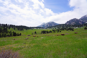Fototapeta na wymiar Scenic view of the Rocky Mountains in Boulder, Colorado in the spring