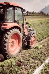 Cut out of tractor cultivating field in spring, agriculture