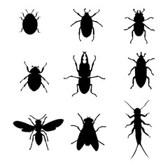 Set of insects collection. insects silhouette . Vector EPS 10.