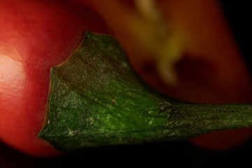 Chilischote mit Stengel
