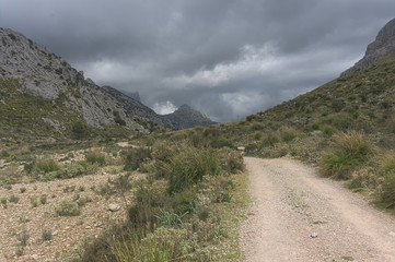 Beautiful landscape of Mallorca, Spain. Lush Green Landscape. Mountains covered with vegetation, a rural road to the Spanish house. Sunny, hot Spanish day. Mountain village