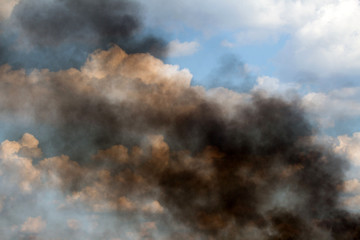 Fire Pictures HD nature ash