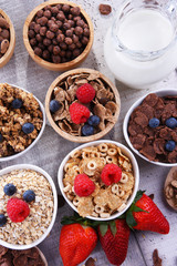 Bowls with different sorts of breakfast cereal products