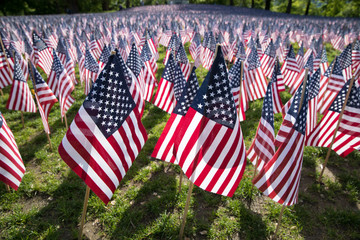 Memorial Day is a federal holiday in the United States for remembering and honoring people who have...