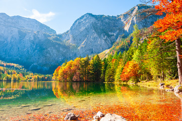 Autumn trees on the shore of Hinterer Langbathsee lake in Alps mountains, Austria.