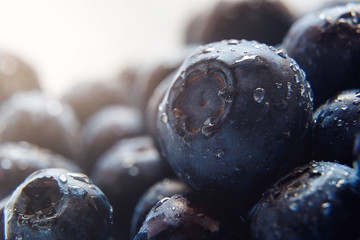Beautiful natural background. Summer, spring concepts. Ripe and juicy fresh picked blueberries close-up in the gentle rays of the warm sun. Copy space. Template for design. Soft focus. Macro shot