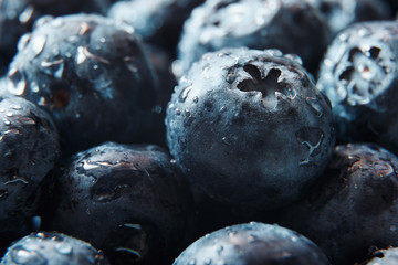 Nature background. Big beautiful water drops on ripe and juicy fresh picked blueberries closeup. Macro view of abstract nature texture and background organic pattern. Copy space. Macro shot