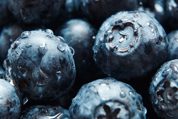 Nature background. Big beautiful water drops on ripe and juicy fresh picked blueberries closeup. Macro view of abstract nature texture and background organic pattern. Copy space. Macro shot