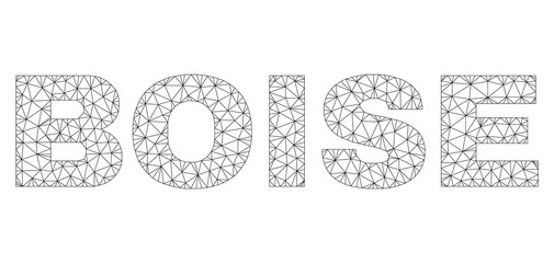Mesh vector BOISE text. Abstract lines and dots are organized into BOISE black carcass symbols. Linear carcass flat polygonal network in vector EPS format.