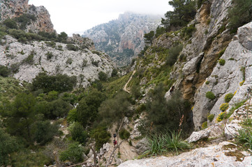 Herd of Majorca goats on steep cliff