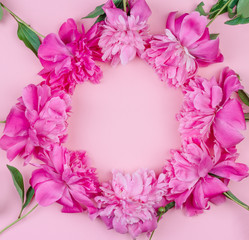 round frame bouquet of pink peony flowers close-up on pink background with copy space, top view flat lay