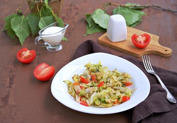 Fried cabbage with tomatoes in a white plate on a dark brown background. Served with sour cream.