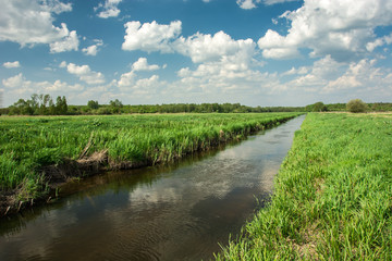 Eastern Poland and the river flowing through green meadow, forest and white clouds on sky