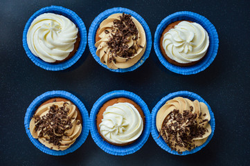 cupcakes in blue molds capsules with different creams