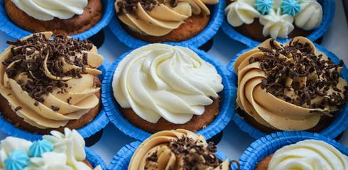 cupcakes in blue molds capsules with different creams