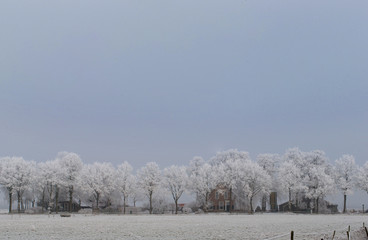 Frozen meadows. Winter. Ruinerwold Netherlands