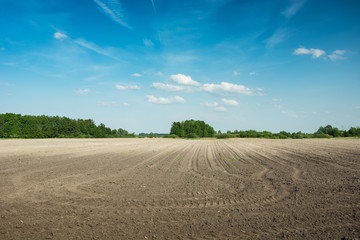 Plowed field, horizon and sky