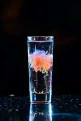 alcohol shot brain tumor