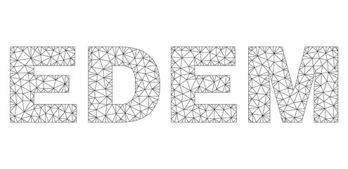Mesh vector EDEM text. Abstract lines and circle dots form EDEM black carcass symbols. Linear carcass 2D triangular mesh in vector format.