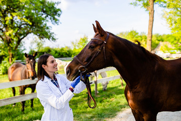 Vet enjoying with a horse outdoors at ranch.