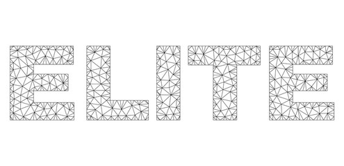 Fototapeta na wymiar Mesh vector ELITE text. Abstract lines and dots are organized into ELITE black carcass symbols. Linear carcass flat triangular mesh in vector EPS format.