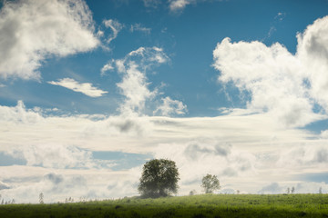 Obraz premium Meadow after the rain. Cloudy sky in the background