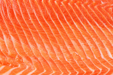 fresh salmon fillet background