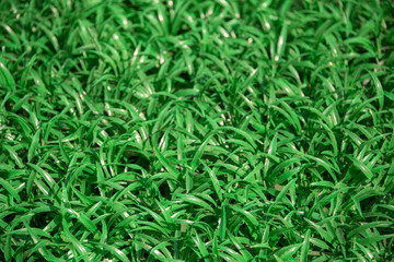 Fototapeta na wymiar green background, artificial green grass
