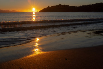 A golden sunset on a beach in on Waiheke Island, New Zealand, the colour of the sun reflecting on the wet sand, nobody in the image