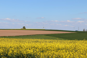 L'agriculture et le Luxembourg