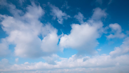Clear and sunset sky  with cloud in summer
