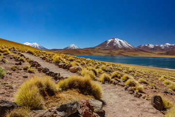 Miscanti lagoon against snow covered volcanoes, Atacama highlands