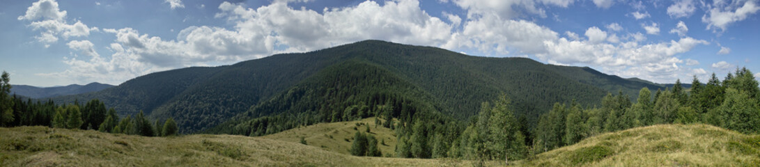 Fototapeta na wymiar Beauty of the nature on Carpathian Mountains landscape: Yavirnik Gorgan view to the summit. Panorama.