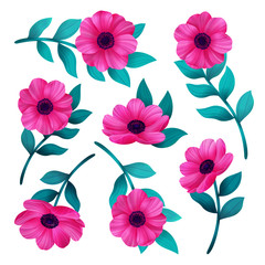 Pink flowers isolated on white background. Beautiful wild flower set. digital illustration