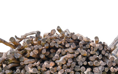 Wooden logs isolated on white background 