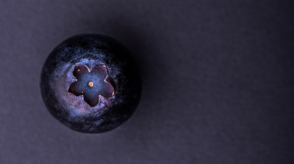 single blueberry on the dark gray background top view.