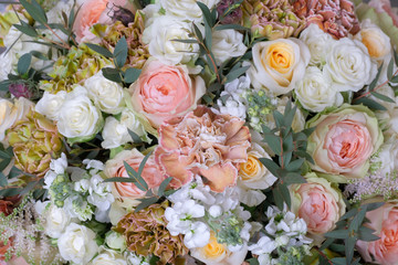 Background of flowers, roses, carnations, pastel colors.