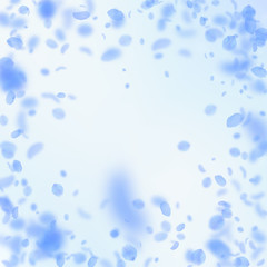 Dark blue flower petals falling down. Enchanting r