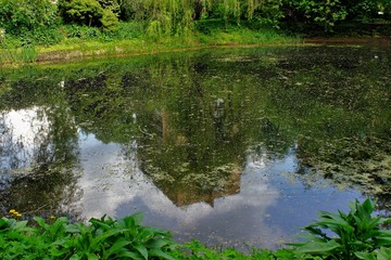 Small old pond in the city park. Reflection in water. Moscow. Russia.