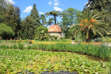 The famous Historic botanical garden and arboretum of Montpellier, the oldest in France, Herault, Occitanie
