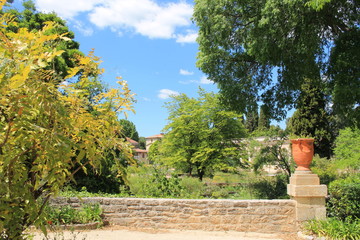 Fototapeta na wymiar The famous Historic botanical garden and arboretum of Montpellier, the oldest in France, Herault, Occitanie