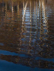 Reflection of birch trees in water. Moor.