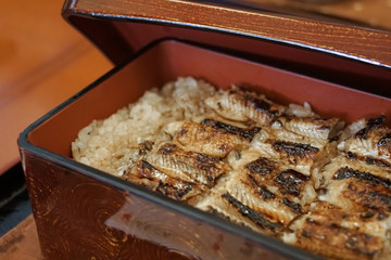 traditional japanese grilled unagi eel on rice lunch box