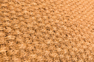 Blank Home Sweet Home Welcome Mat Isolated on a White Background Ready For Your Own Text.