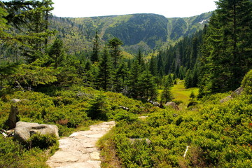 Karkonosze - Góry Sudety