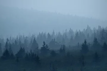 Küchenrückwand glas motiv Wald im Nebel Riesengebirge - Sudetengebirge
