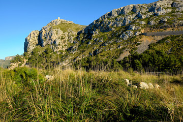 Fototapeta na wymiar Landschaft und Steilküste auf der Halbinsel Formentor, Mallorca, Balearen, Spanien