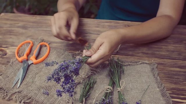 woman herbalist hands binding lavender bunch