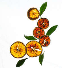 x-ray citrus fruits isolated